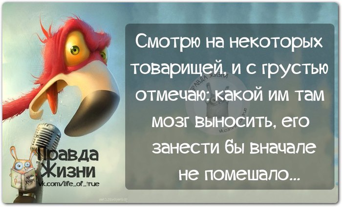 Отсутствие мозгов афоризм Отсутствие мозгов афоризм