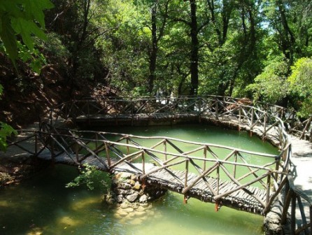 Gretsiyaostrov-Rodos-Park-babochek-500x377 (446x336, 67Kb)
