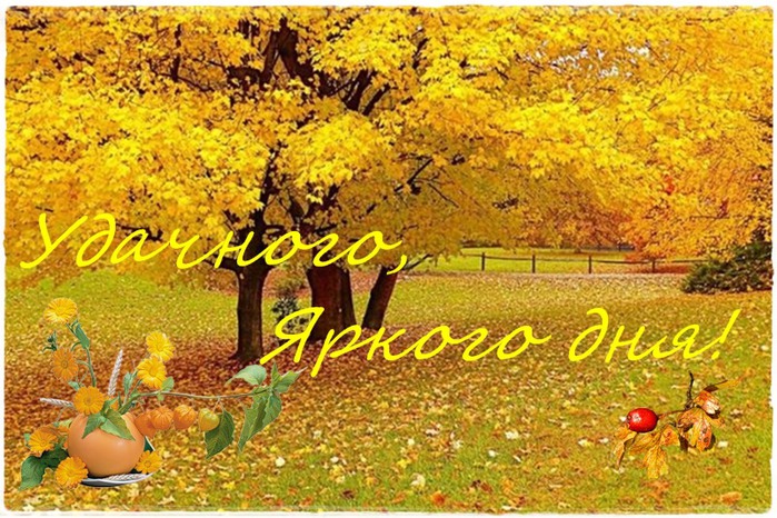 3470549_den_yd_yar (700x466, 161Kb)