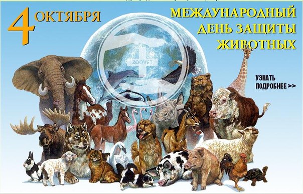 Сценарий дня защиты животных Сценарий дня защиты животных