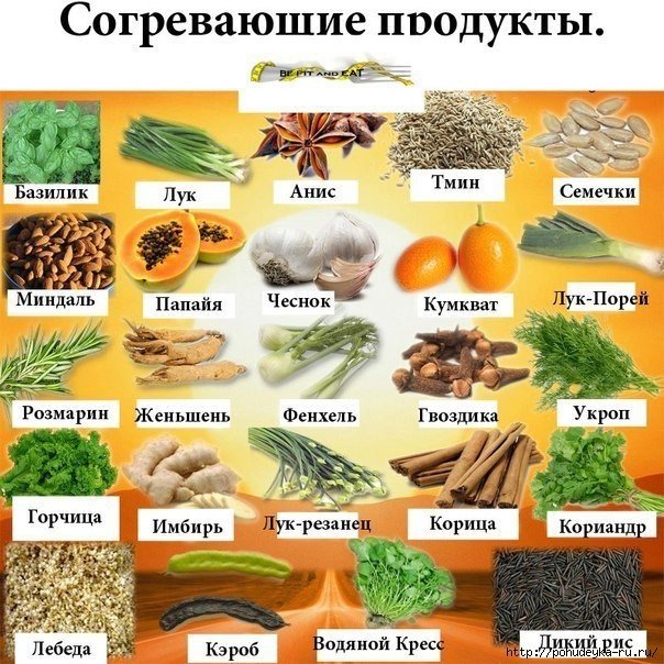 Аюрведические свойства пищевых продуктов.