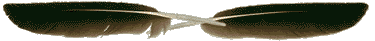 2 перышка (375x41, 2Kb)