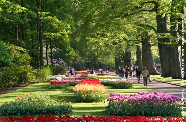 5283370_Niderlandi19 (610x400, 292Kb)