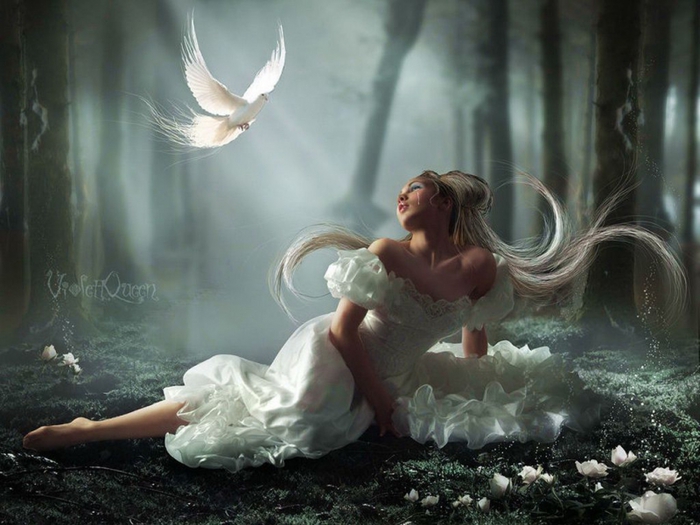 5053532_belie_ptici (600x450<br />, 234Kb)