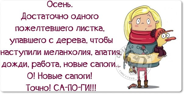 Осень юмор цитаты Осень юмор цитаты