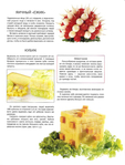  Как декорировать блюда. Мастер-класс французских кулинаров_30 (529x700, 278Kb)