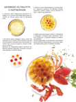  Как декорировать блюда. Мастер-класс французских кулинаров_50 (521x700, 255Kb)