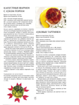  Как декорировать блюда. Мастер-класс французских кулинаров_96 (522x700, 236Kb)