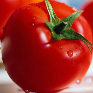 tomat (300x300, 18Kb)