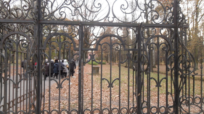 SDC13808 (700x393, 167Kb)