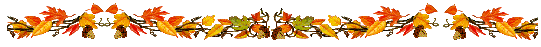 111683335_106833410_be6fc00fb5e6 (541x47, 10Kb)