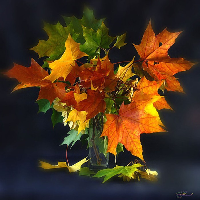 116048578_77980104_large_0_6c4d3_da39880c_XL (700x700, 104Kb)