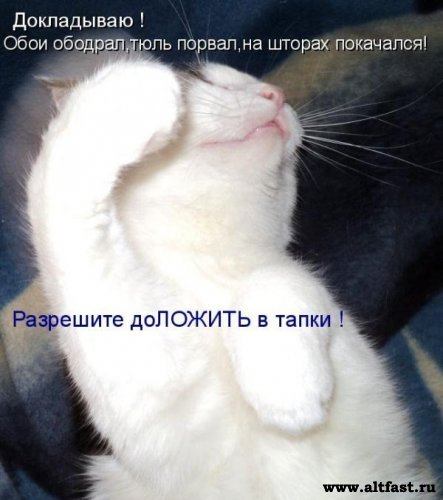 http://img0.liveinternet.ru/images/attach/c/11/117/66/117066110_1278575911_1278516051_1278047279_kotomatrix_37.jpg