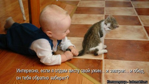 http://img0.liveinternet.ru/images/attach/c/11/117/66/117066114_1390123702_kotomatricynovinki1.jpg