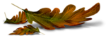 0_91ba6_bc1edef7_S (150x54, 11Kb)