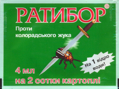 5954798_ratibor (500x372, 123Kb)