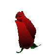 5495565_127522291_5495565_4be95f76b255 (110x114, 29Kb)
