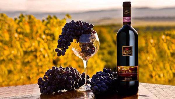 Vina-Toskany-Brunello-di-Montalcino (600x339, 197Kb)