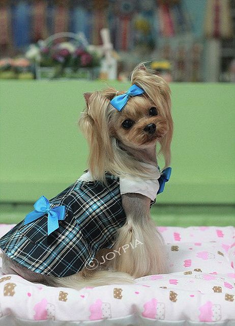 81a4c432d75f5b86db7b26690629aa90 (462x640, 257Kb)