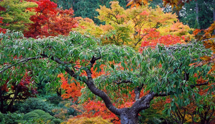 18 (700x406, 477Kb)