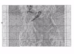  164944336352919471 (700x513, 326Kb)