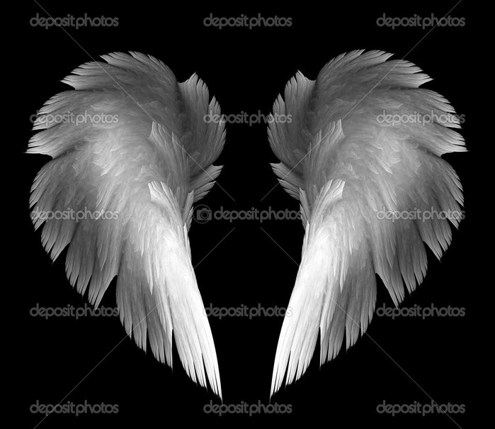1827016_depositphotos_7310406Angelwings (700x605, 76Kb)