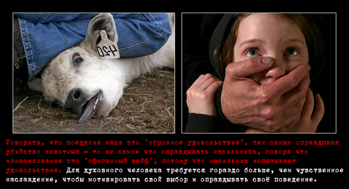 нечто виноградов об убийстве животных мне