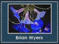 5107871_Brian_Wyers (200x150, 54Kb)