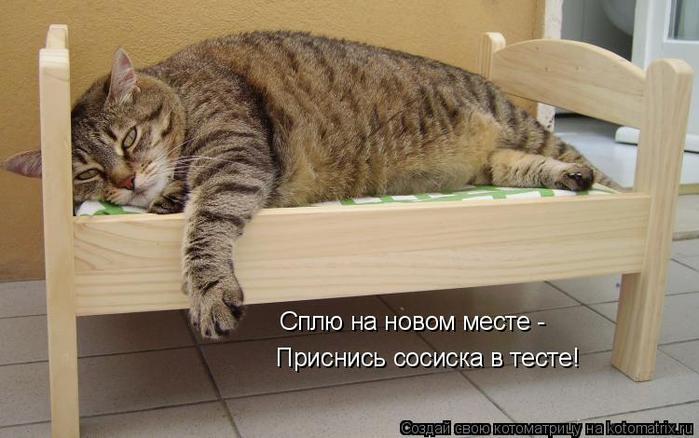 6006573_2G (700x438, 46Kb)