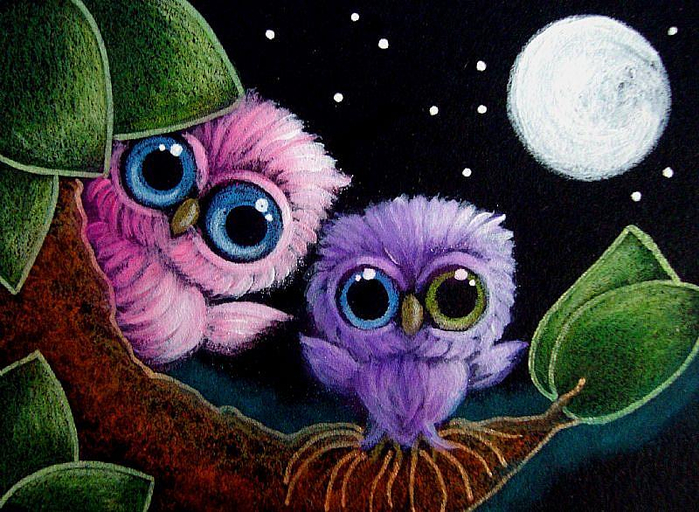 TINY-OWLS-NEW-VIOLET-BABY-OWL-OMG-SHE-HAS-ODD-EYESjpg (700x512, 486Kb)