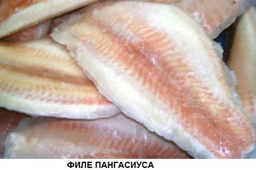 1207817_file (526x349, 26Kb)