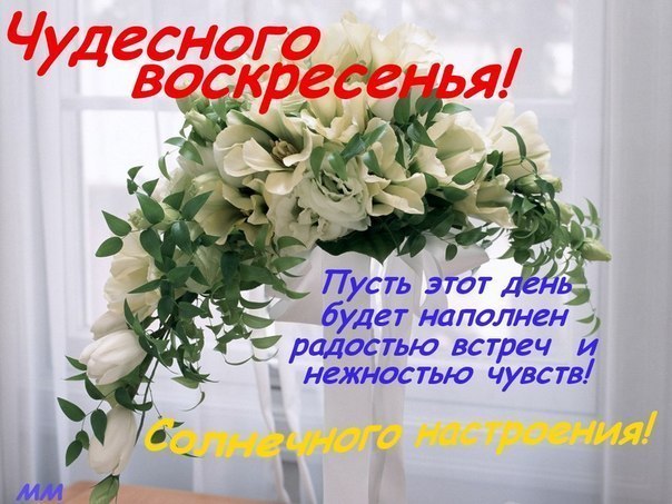 http://img0.liveinternet.ru/images/attach/c/11/128/634/128634356_3470549_.jpg