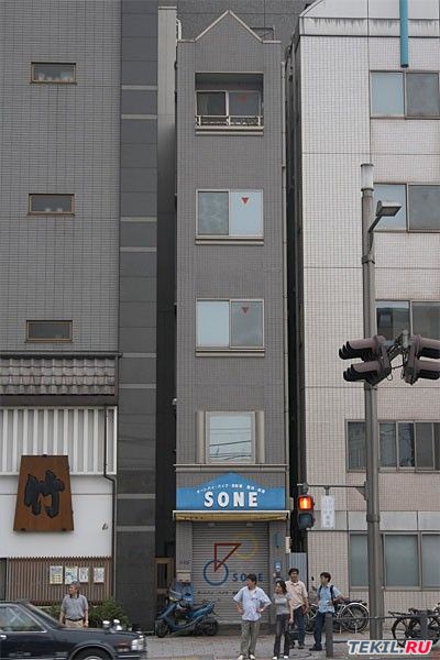 4809770_86 (400x600, 86Kb)