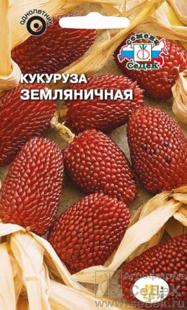 kukuruza_zemlyanichnaya_dekorativnaya (266x440, 189Kb)