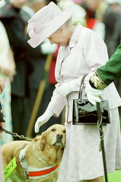 the-queen-1999-3-vogue-24nov15-getty_b_592x888 (466x700, 330Kb)