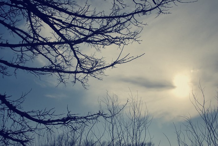 DSC_8339_Snapseed (Копировать) (700x469, 103Kb)