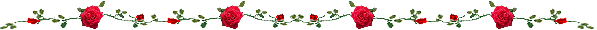 335 (597x30, 5Kb)