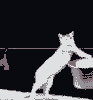  (93x100, 36Kb)