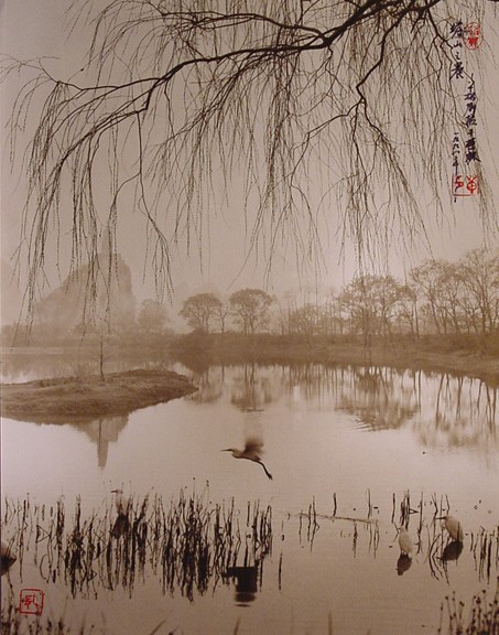 Китайский фотограф Don Hong - Oai. 