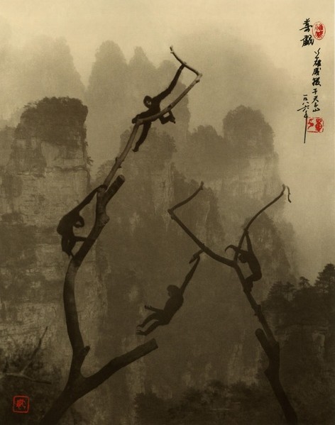 Китайский фотограф Don Hong - Oai. 