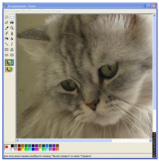 (513x520, 62Kb)