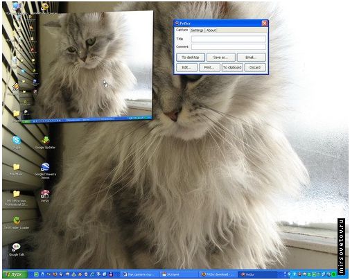 (505x404, 50Kb)