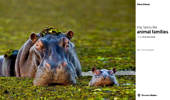 "Мои любимые семьи животных" ("My favourite animal families") от всемирно известного фотографа-анималиста Стива Блума (Steve Bloom)