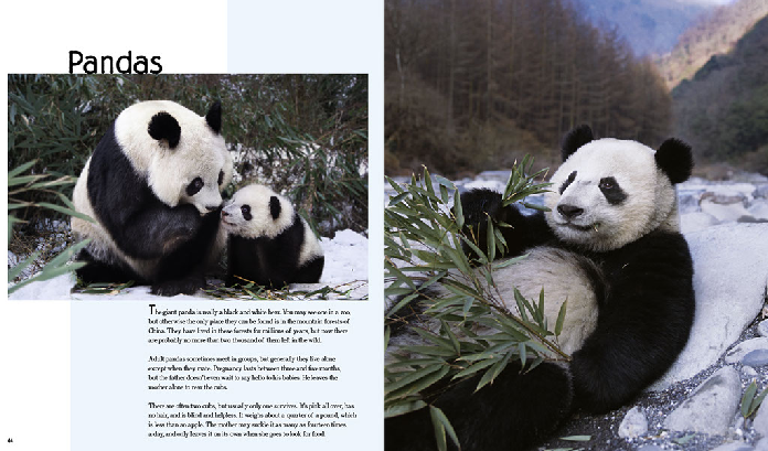 "Мои любимые семьи животных" ("My favourite animal families") от всемирно известного фотографа-анималиста Стива Блума (Steve Bloom)