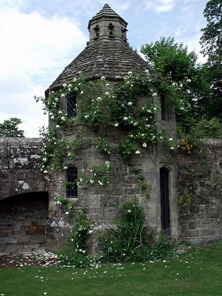 Nymans Gardens 29087