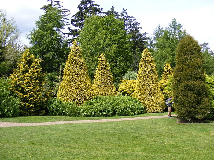 Nymans Gardens 82811