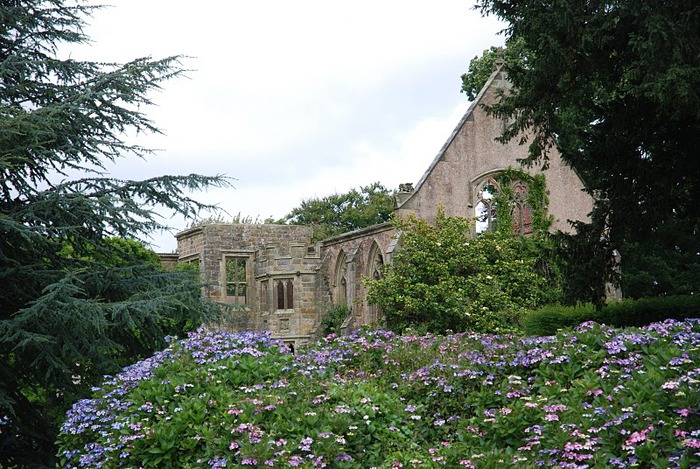 Nymans Gardens 88447