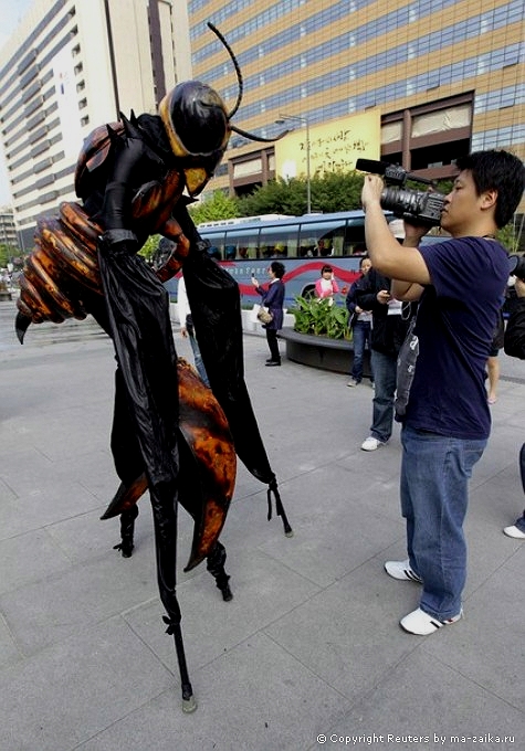 Привет фестиваль (Hi Seoul Festival 2010) в центре Сеула, 2-10 октября 2010 года.