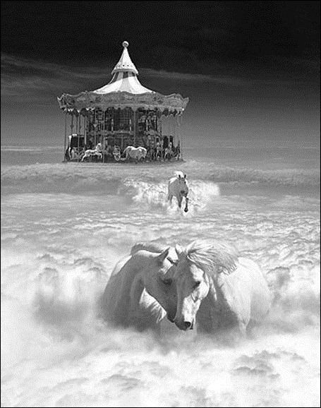 Волшебный мир фотохудожника Thomas Barbey 14