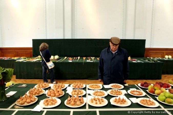 Лондонский осенний урожай королевского садоводческого общества (Royal Horticultural Society) в Лондоне, Англия, 6 октября 2010 года.